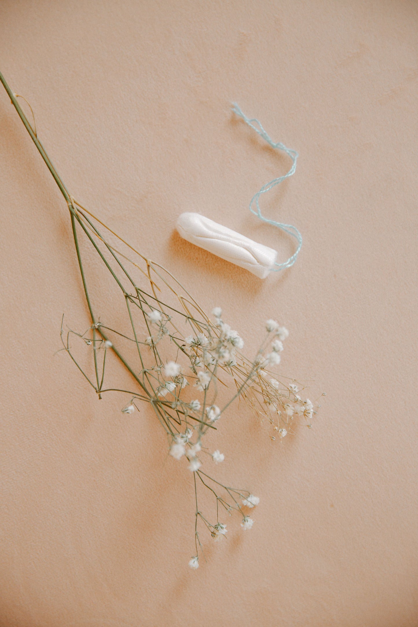 The first <span>compostable</span> tampon